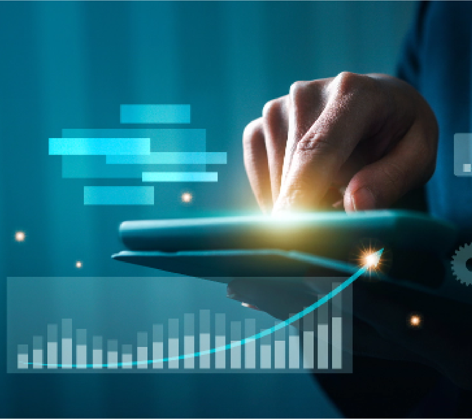 justfoodfordogs Success Story Bolt Today